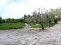 pano_20120425_103352